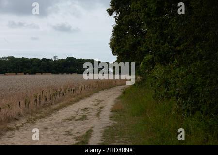 Corsia di campagna e permissivo sentiero visto nella zona del porto di Chichester. Foto Stock
