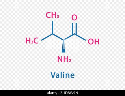 Formula chimica della valina. Formula chimica strutturale valina isolata su sfondo trasparente. Illustrazione Vettoriale