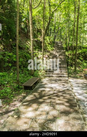 Sentiero escursionistico nel Parco Nazionale della Foresta di Zhangjiajie nella provincia di Hunan, Cina Foto Stock