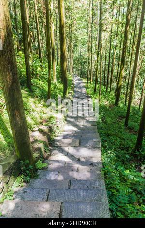 Sentiero escursionistico nel Parco Nazionale della Foresta di Zhangjiajie nella provincia di Hunan, Cina Foto Stock