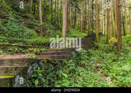 A pochi passi dal Zhangjiajie National Forest Park nella provincia di Hunan, Cina Foto Stock