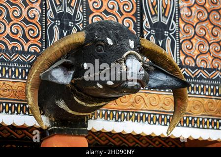 Testa di bufala intagliata con corna reali sulla tradizionale casa di famiglia tongkonan. Parinding, a nord di Rantepao. Parinding, Toraja, Sulawesi meridionale, Indonesia Foto Stock