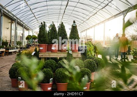 Houghton Hall Garden Center, Carlisle Foto Stock