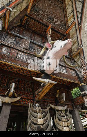 Testa piebald intagliata e corna di bufalo sacrificato, simboli di stato su una casa tradizionale tongkonan. L'bo, Rantepao, Toraja, Sulawesi meridionale, Indonesia Foto Stock