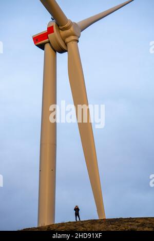 Turbina eolica, di Enercon, sulla Mottbruchhalde, a Gladbeck-Brauck, gestita dalla società energetica STEAG, NRW, Germania. Foto Stock