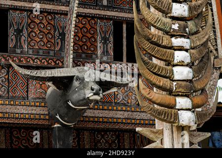 Testa intagliata e corna di bufala sacrificata, simboli di stato su una casa tradizionale tongkonan intagliata. L'bo, Rantepao, Toraja, Sulawesi meridionale, Indonesia Foto Stock