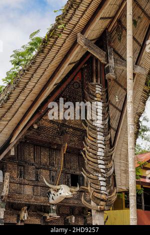 Testa piebald intagliata e corna di bufalo sacrificato, simboli di stato su una casa tradizionale tongkonan. L'bo, Rantepao, Toraja, Sulawesi meridionale, Indonesia Foto Stock