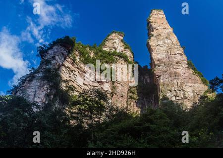 Colonne rocciose nel Parco Nazionale della Foresta di Zhangjiajie nella provincia di Hunan, Cina Foto Stock