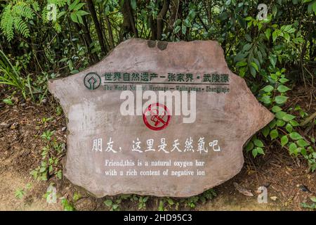 Accedi all'area di interesse storico e paesaggistico di Wulingyuan nel parco forestale nazionale di Zhangjiajie nella provincia di Hunan, Cina. Afferma che la natura è uno o naturale Foto Stock