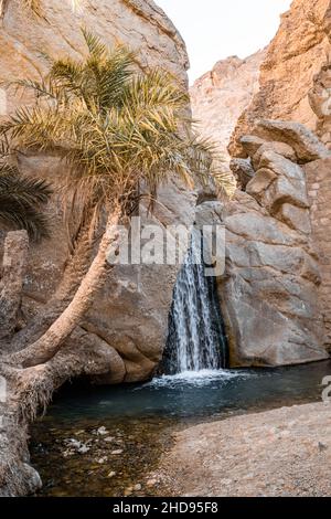 Foto verticale di un'oasi nel deserto paesaggio montano Foto Stock