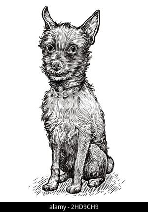 Cane piccolo. Illustrazione disegnata a mano del terrier. Sketch carino cucciolo Foto Stock