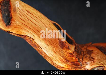 Curvo testurizzato legno serpente di colore marrone con texture su sfondo nero con spazio libero. Foto Stock