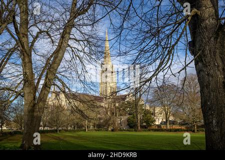 Cattedrale di Salisbury in stile gotico vista attraverso gli alberi nel Close preso a Salisbury, Wiltshire, Regno Unito il 4 gennaio 2022 Foto Stock