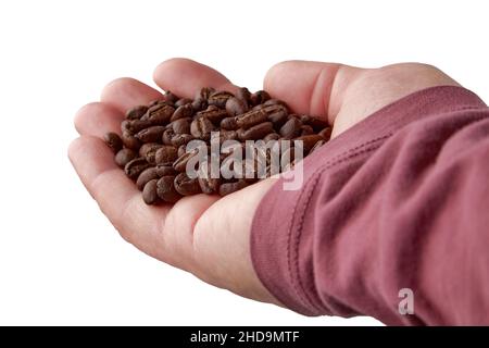 Chicchi di caffè appena tostati nella palma stanca dell'uomo Foto Stock