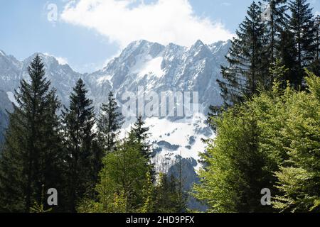 Una splendida vista sulle montagne bianche innevate Foto Stock