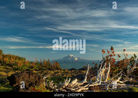 WA21001-00...WASHINGTON - Vista del Monte Rainier da Adams Creek Meadows/High Camp nella zona di Mount Adams Wilderness. Foto Stock