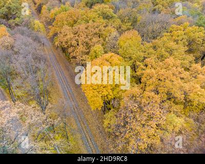 Aereo sopra la linea ferroviaria in vivido giallo autunno foresta. Vista sulla cima del tretop sulla ferrovia colorata a Kharkiv, viaggio Ucraina Foto Stock