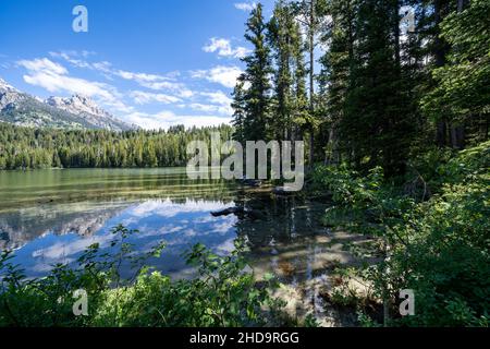 Mattina tranquilla al lago di Taggart nel Parco Nazionale di Grand Teton Foto Stock