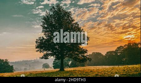 Londra, 18th settembre 2021. Una bella alba su un nebbiosa centro di Londra visto da Parliament Hill, Hampstead Heath, Hampstead il Sabato mo Foto Stock