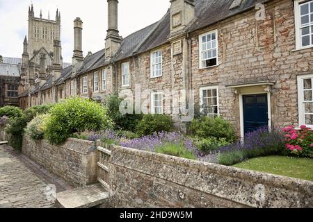 Wells Cattedrale Vescovi Palazzo e Vicari chiudere Foto Stock