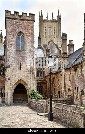 Wells Cattedrale Vescovi Palazzo e Vicari chiudere Foto Stock