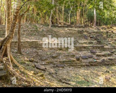 Scale di pietra surcresciute - Sambor Prei Kuk, Cambogia Foto Stock