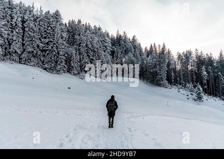 Passeggia attraverso un paesaggio innevato con neve profonda