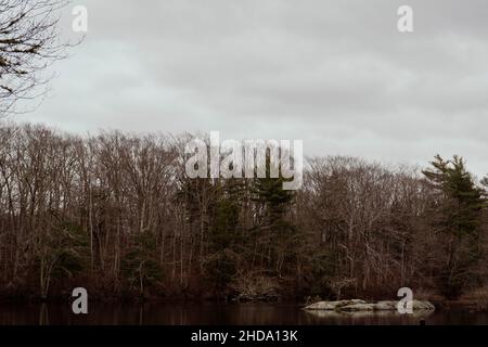 Foglie di albero essiccato oltre al fiume fluente e diga di Man-made. Questa foto è stata catturata in montagne bianche. Foto Stock