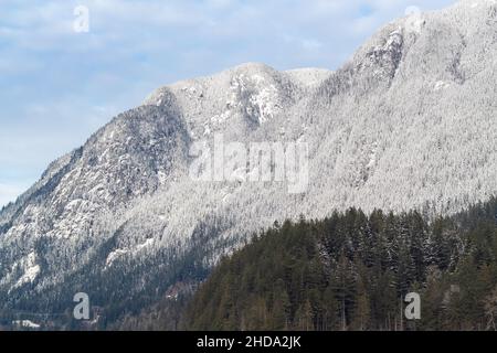 Scenario di alta montagna con pini e alta vetta. Splendidi paesaggi naturali al mattino a BC, Canada. Foto di viaggio, nessuno, spazio di copia per Foto Stock