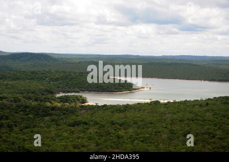 Vista della vegetazione della savana amazzonica nella città di Alter do Chão, nello stato di Pará, Brasile. Foto Stock