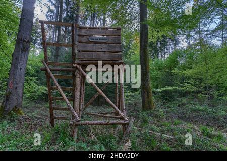 High Seat nei boschi chiamati sede del barone Foto Stock