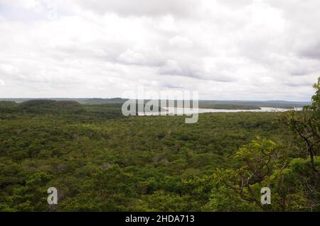 Vista della vegetazione della savana amazzonica nella città di Alter do Chão, nello stato di Pará, Brasile. Foto Stock