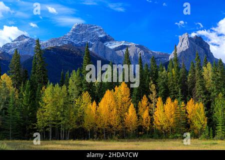 Il monte Lougheed è una montagna di 3.107 metri (10.194 piedi) a tripla vetta situata tra il lago artificiale Spray Lakes e la valle del vento della regione di Kananaskis Foto Stock