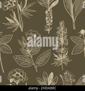 Modello senza cuciture con piante selvatiche disegnate a mano in stile incisione vintage. Erbe mediche di fondo per il design e l'imballaggio. Illustrazione Vettoriale