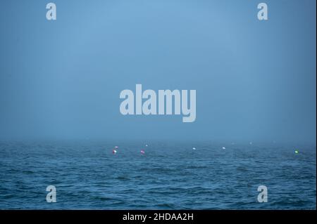 Boa trappola aragosta galleggiando su un oceano agopito nell'Oceano Atlantico Foto Stock