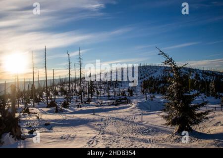 sole sopra la foresta bavarese in inverno Foto Stock