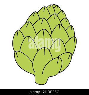 Germoglio di fiori di carciofo. Simbolo di nutrizione di proprietà. Illustrazione vettoriale di vegetale isolato su sfondo bianco Illustrazione Vettoriale