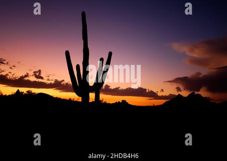 Il sole tramonta su Papago Park, Phoenix, USA Foto Stock