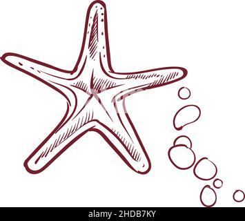 Stelle marine nello stile di schizzo disegnato a mano. Simbolo marino Illustrazione Vettoriale