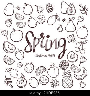 Frutta di stagione di fondo. Composizione di frutti di primavera disegnata a mano in icone vettoriali di doodle, isolate su sfondo bianco. Illustrazione Vettoriale