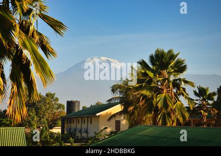 Monte Kilimanjaro visto da Moshi Tanzania. L'avventura inizia qui e termina sulla montagna più alta dell'africa, la vetta di uhuru Foto Stock