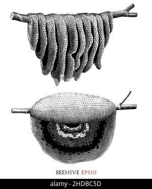 Beehive disegno a mano vintage incisione stile nero e bianco clipart Illustrazione Vettoriale