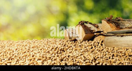 biomassa - pellets di legno e legna da ardere di betulla su sfondo verde foglia. energia rinnovabile Foto Stock