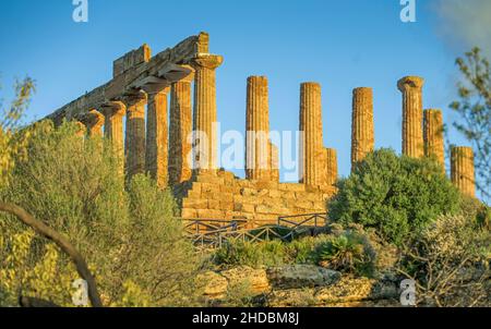 Tempel der Hera, archäologischer Park Valle dei Templi (tal der Tempel), Agrigent, Sizilien, Italien Foto Stock