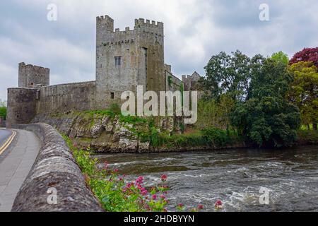 Castello di Cahir, Castello di Caher, Cahir, Irlanda, Gran Bretagna |Schloss, Castello di Cahir, Castello di Caher, Cahir, Irland, Groflbritannien Foto Stock