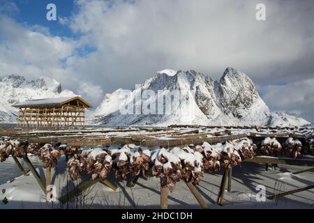Im Winter auf den Lofoten an der Stadt Sakrisoy nei in Norwegen. Foto Stock