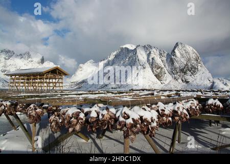 Im Winter auf den Lofoten an der Stadt Sakrisoy nei in Norwegen. Foto Stock