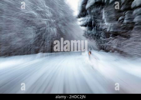 Strada innevata scivolosa, strada che conduce attraverso la foresta in una curva, dinamica, Weserbergland, Renania settentrionale-Vestfalia, Germania, Europa Foto Stock