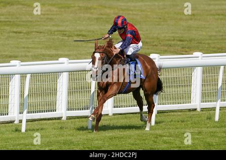 Foto di archivio datata 23-06-2021 di Sean Levey in sella a Nuits St Georges tornando a casa per vincere l'handicap commemorativo di Ian Elton all'ippodromo di Salisbury. Nuits St Georges, un handicap intelligente che si ferma in Flat, ha lasciato David Menuisier per proseguire una carriera oltre i salti con il trainer irlandese Henry de Bromhead. Data di emissione: Mercoledì 5 gennaio 2022. Foto Stock