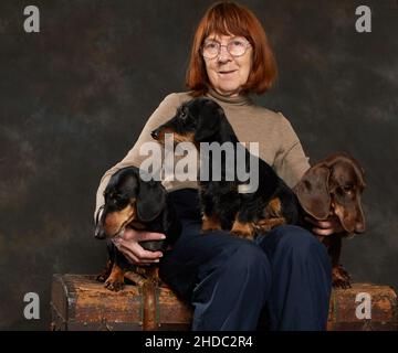 Tre dachshund di tipi diversi si siedono sul grembo della loro padrona Foto Stock